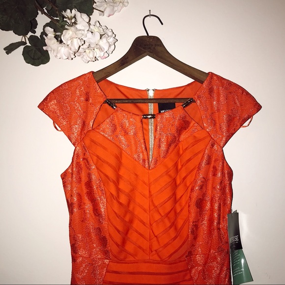 NWT Melrose Social Mandarin Dress gold accent - Picture 2 of 8